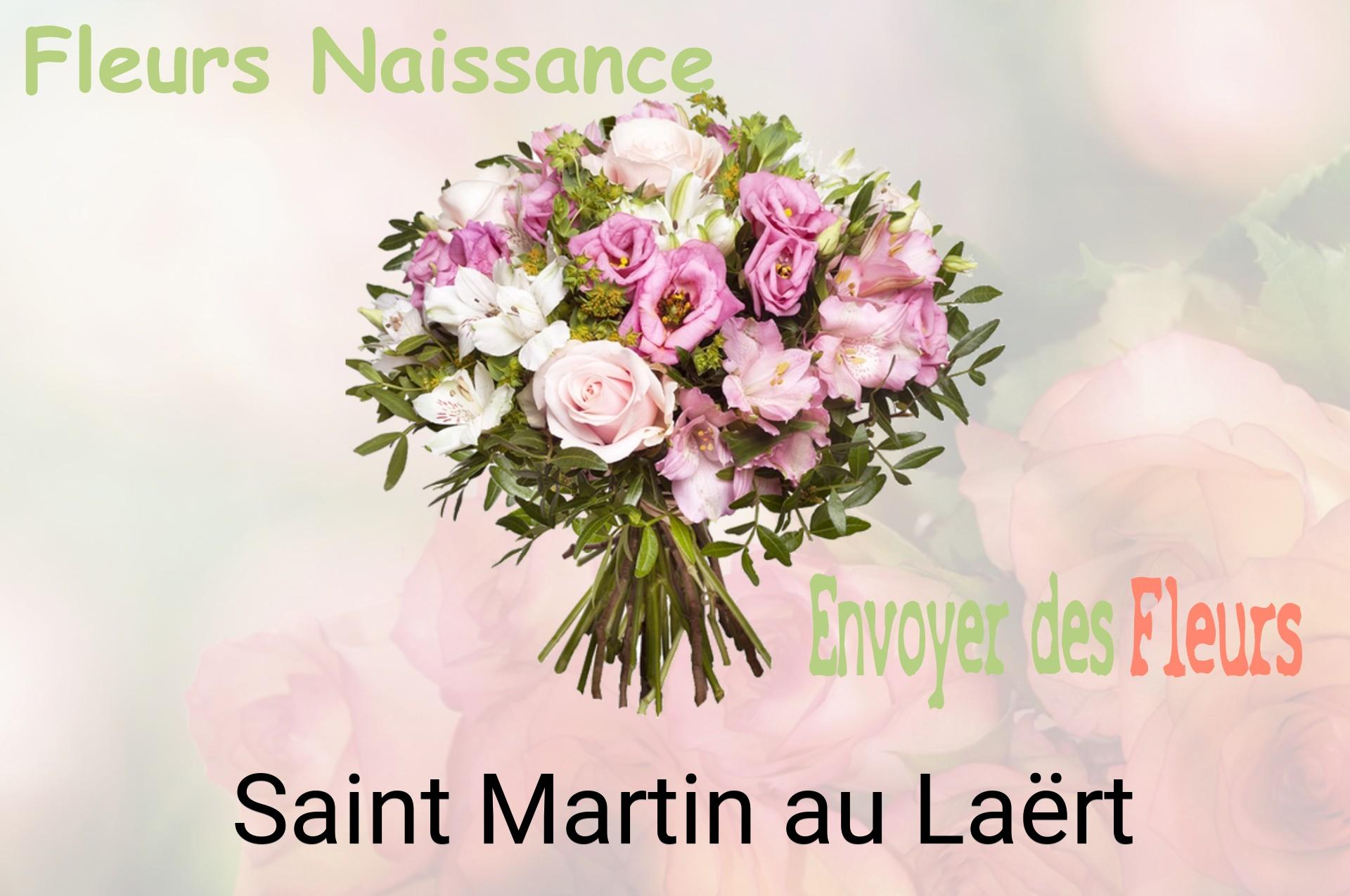 Bouquet de fleurs de naissance livré à Saint-Martin-au-Laërt