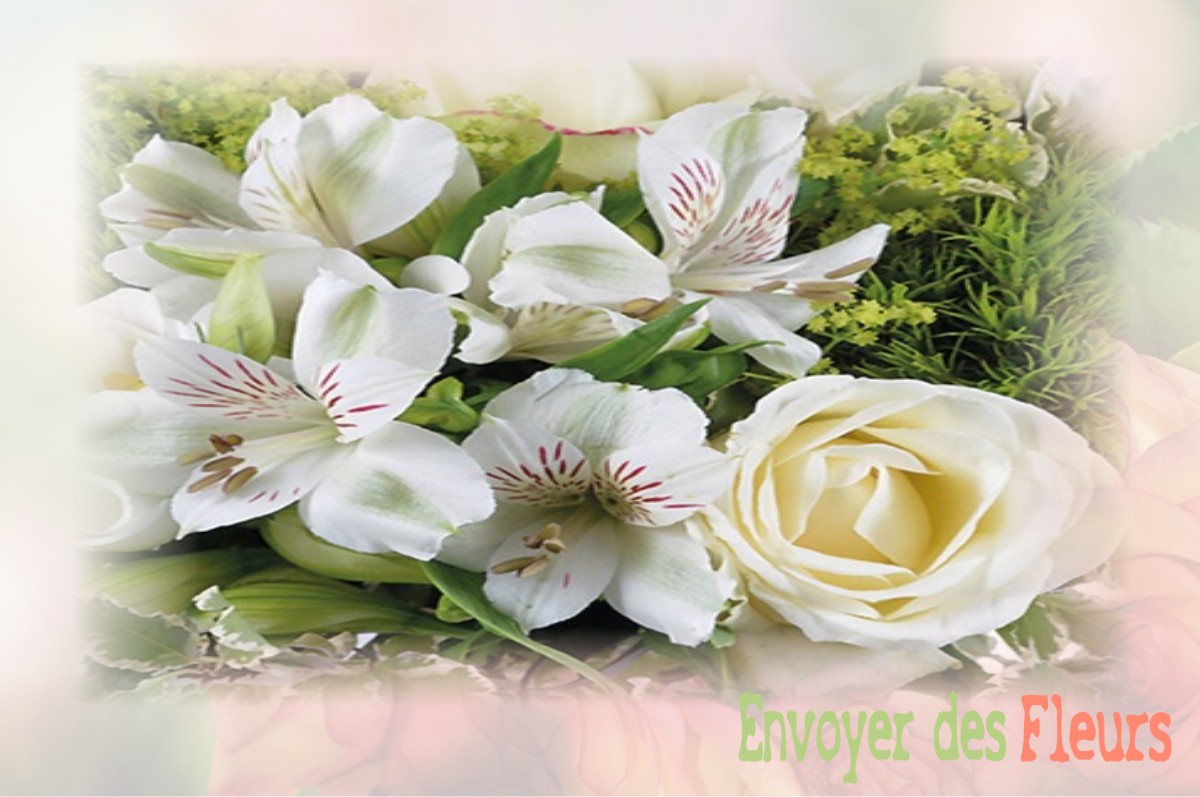 envoyer des fleurs à à SAINT-MARTIN-AU-LAERT